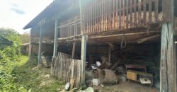Walnut House – Gorna Lipnitsa