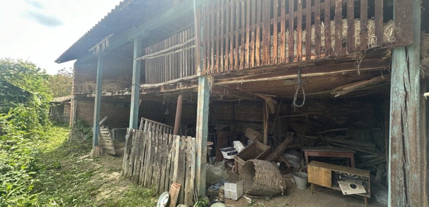 Walnut House – Gorna Lipnitsa