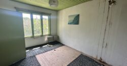 Walnut House – Gorna Lipnitsa