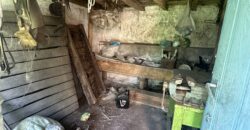 Walnut House – Gorna Lipnitsa