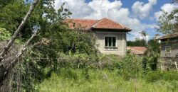 Walnut House – Gorna Lipnitsa