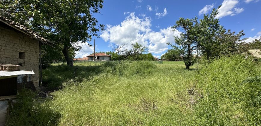 Storks Nest House – Strahilovo