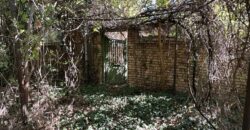 The Daisy House – Peychinovo