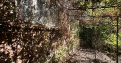 The Daisy House – Peychinovo