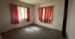 The Daisy House – Peychinovo