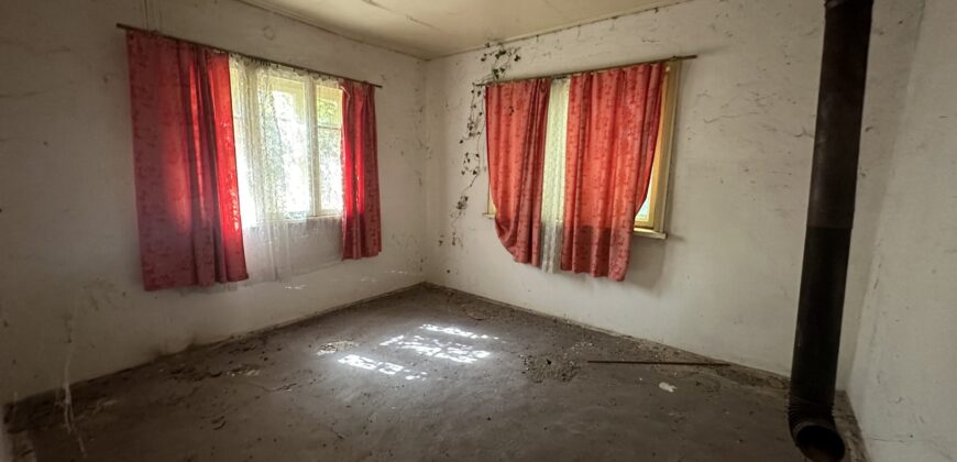 The Daisy House – Peychinovo