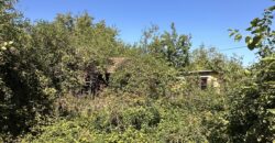The Daisy House – Peychinovo