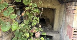 The Daisy House – Peychinovo