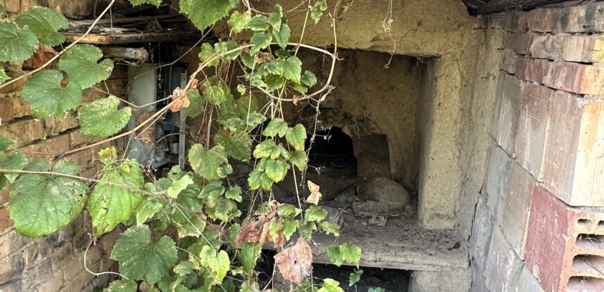The Daisy House – Peychinovo
