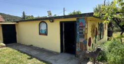 Owls House – Dolna Lipnitsa