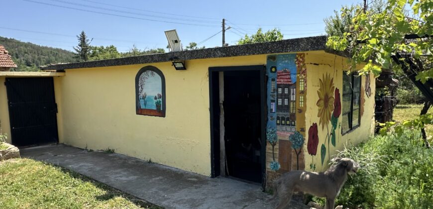Owls House – Dolna Lipnitsa
