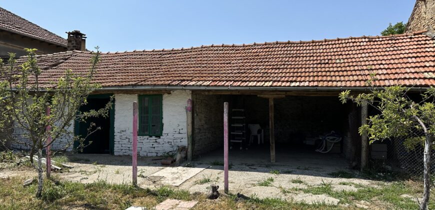 Owls House – Dolna Lipnitsa