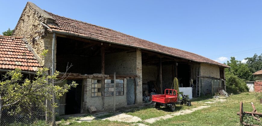 Owls House – Dolna Lipnitsa