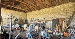 Owls House – Dolna Lipnitsa