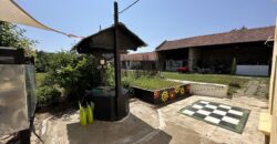 Owls House – Dolna Lipnitsa