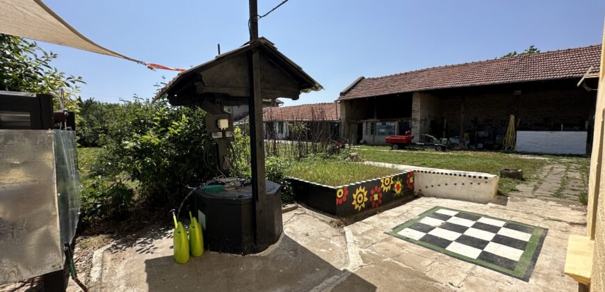 Owls House – Dolna Lipnitsa