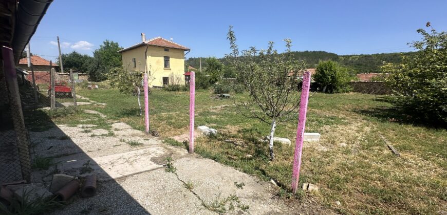 Owls House – Dolna Lipnitsa