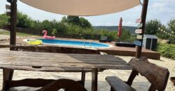 Little Paradise – Sadina