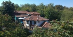 Pidgeons Retreat – Peychinovo