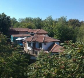 Pidgeons Retreat – Peychinovo