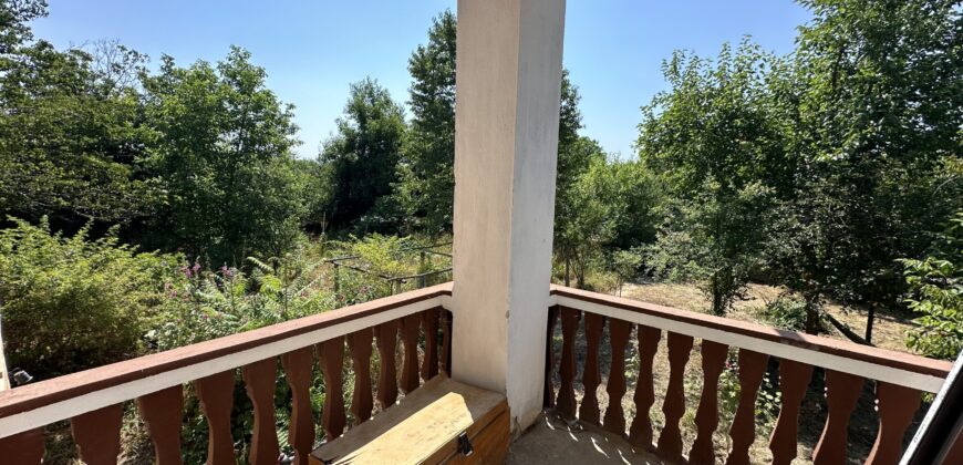 The Cherry Tree House –