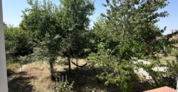 The Cherry Tree House –
