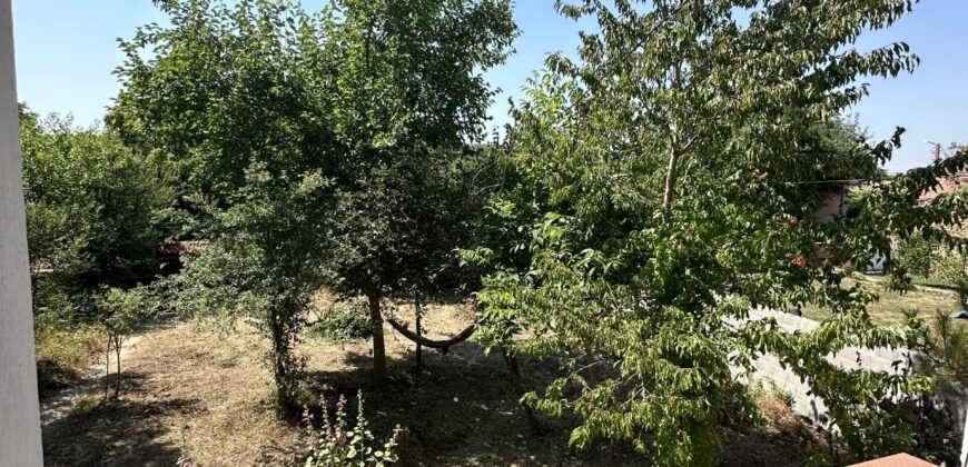 The Cherry Tree House –