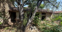 The Cherry Tree House –