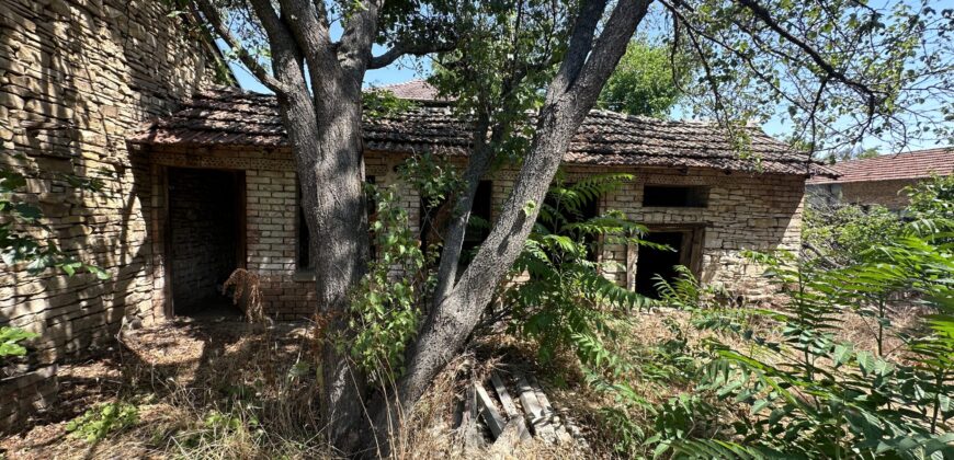 The Cherry Tree House –