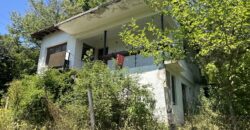 Forest View House – Marchino