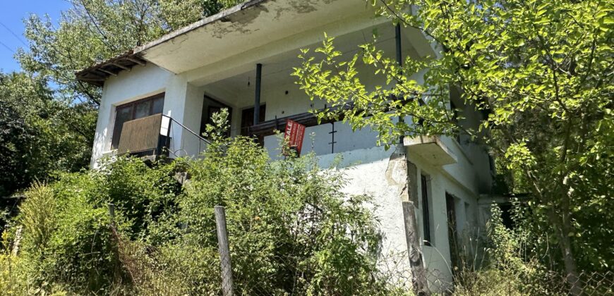 Forest View House – Marchino