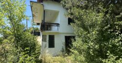 Forest View House – Marchino