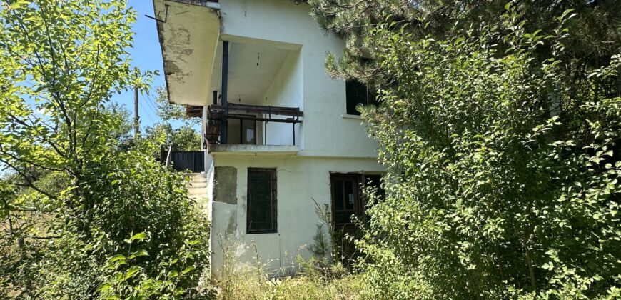 Forest View House – Marchino