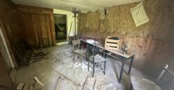 Forest View House – Marchino