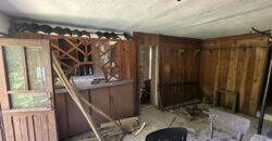 Forest View House – Marchino