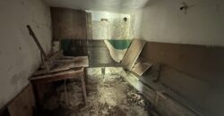 Forest View House – Marchino