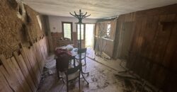 Forest View House – Marchino