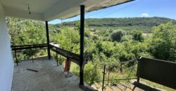Forest View House – Marchino