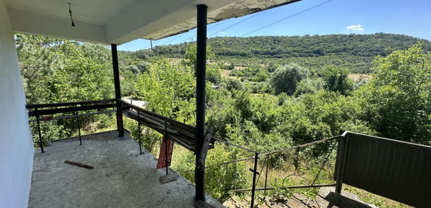 Forest View House – Marchino