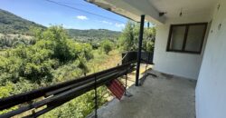 Forest View House – Marchino