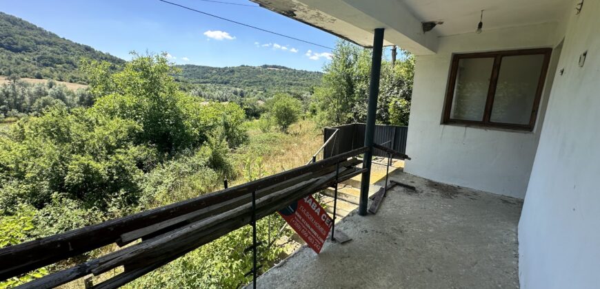 Forest View House – Marchino