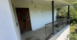 Forest View House – Marchino