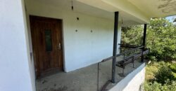 Forest View House – Marchino