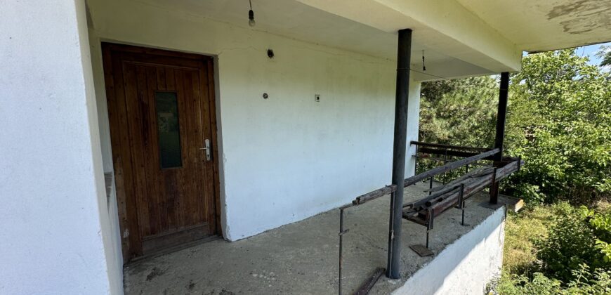 Forest View House – Marchino