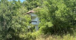 Forest View House – Marchino