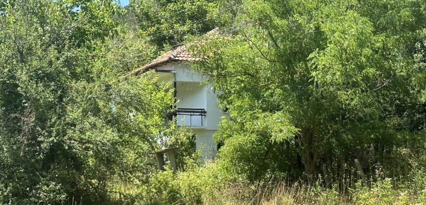 Forest View House – Marchino