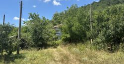 Forest View House – Marchino