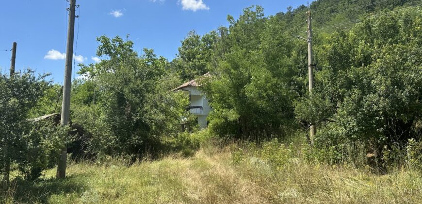 Forest View House – Marchino