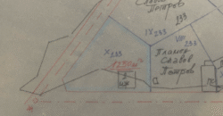 Forest View House – Marchino