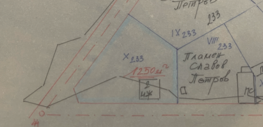 Forest View House – Marchino